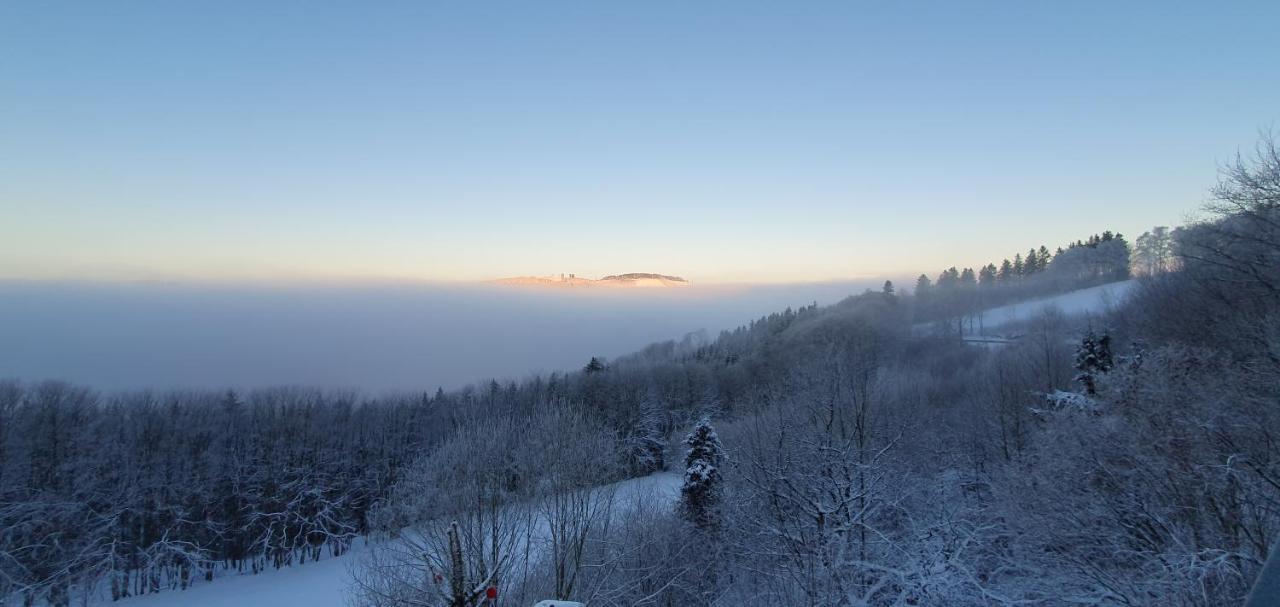 Ferienwohnungen Eismecke Bestwig Extérieur photo